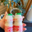 중로2-4 | [대전]관저동 추어탕 맛집 '금평 추어탕'솔직후기