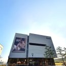 용인소파가 가득한 용인자코모직영점 보고온 후기