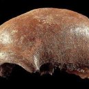 석기농장 이미지