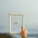 프레임인 이미지