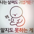 김포한탄강 이미지