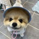 찹찹테이블 이미지