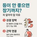다나 에스테틱 - 서대문구 | 다나 에스테틱