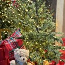 삼동담배집 | 25년 12월 (3) : 로만바스와 일상들