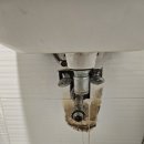 부산신호사랑으로부영 1차 이미지