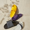 써니터틀 이미지