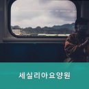 세실리아요양원 네이버블로그