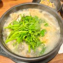 오로지생태한마리 이미지