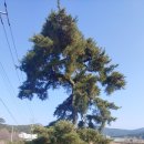 당호리경로당 이미지