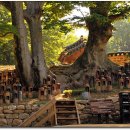 사랑의연리근 이미지