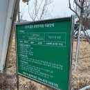 신트리로 이미지