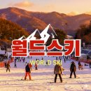 (주)월드사우나 | 엘리시안 강촌 스키장 리조트 사우나 방문 후기