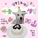 마음이 입양 1 이미지