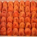 선사농원 이미지