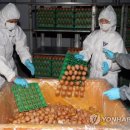 주현2농장 이미지