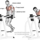 휘트니스오름 분평점 이미지