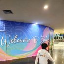 피앤이 바이오 이미지