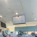 몬스터 줄넘기 | 용인 수지 가성비 키즈카페 잼몬스터, 대관 정보 및 방문 후기