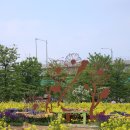 한강시민공원 이미지