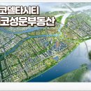 네일시티 - 중구 남포길 20-2 | 네일시티