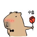 분당-서현-103 이미지