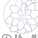 앨리케익 이미지