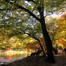 풍경쉼터 이미지