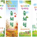 꿈꾸는숲유치원 이미지