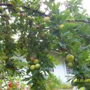 청운민박 이미지