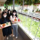 굿스터프 이미지