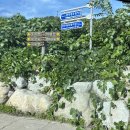 진부리유원지 | 고성 여행 진부령 유원지 내돈내산 후기 | 고기구이 + 계곡 스노클링 + 거진 하나로마트 장보기 (+ 데크...