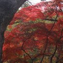 3일(일요일) 고창 문수사 장성 충령산 편백숲 갑니다 이미지