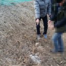 연곡 주유소 이미지