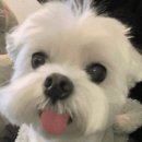 써니사이드베이크