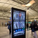 133 | 인천-후쿠오카 아시아나 OZ132/133 탑승후기, 후쿠오카 공항 지하철 이용법 출발일의 모든 것
