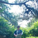 하남 금암산~이성산. 이미지