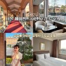 버스티브이 - 서초구 반포대로28길 46 | 서울 메이필드호텔 호캉스 셔틀버스 라운지 수영장 객실 후기