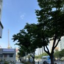 서면 미용실 추천 마리니크 레이어드컷 대만족후기
