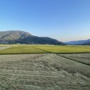 하동여인숙 이미지