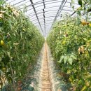 경주농원 이미지