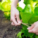 장성군농업기술센터 이미지