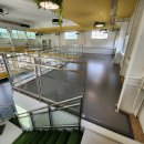 프렌즈 애견 이미지