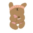 퍼스트독앤캣 이미지