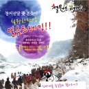 철원 한탄강 얼음트레킹 축제 이미지
