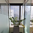 하나로광고 - 전주시 완산구 거마서로 33 | 외국인환자협찬 후기 하나로 의료광고위반·행정처분 동시에 온 사건