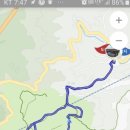 소나무와 호수 이미지