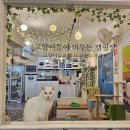 캠핑고양이 - 강남구 선릉로 420 | 캠핑고양이