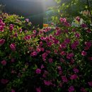 고양누리길 2코스 한북누리길 이미지