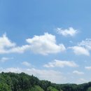 영동 일라이트CC 이미지