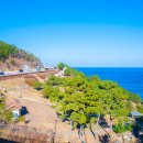 도 - 해돋이 이미지